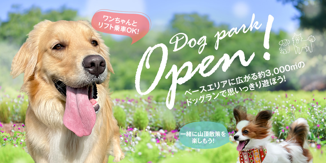 ドッグラン