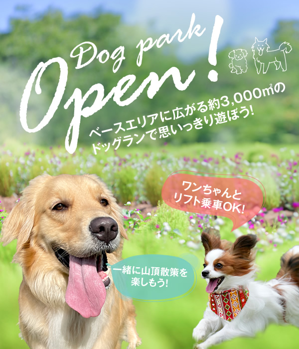 ドッグラン