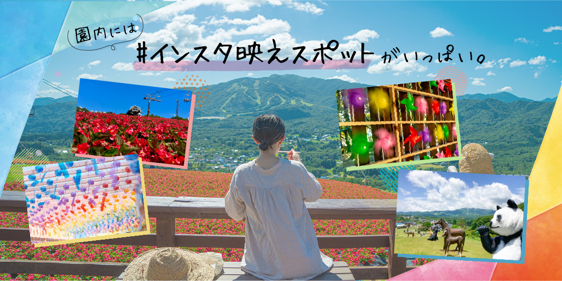 散策スポット