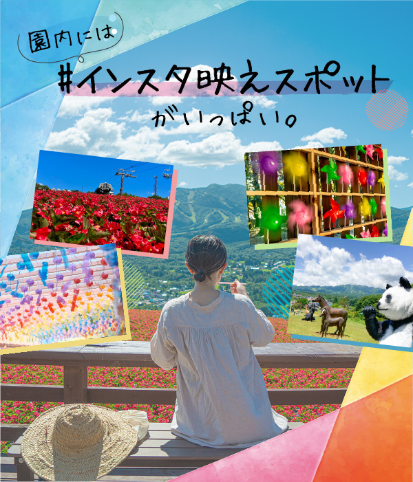 散策スポット