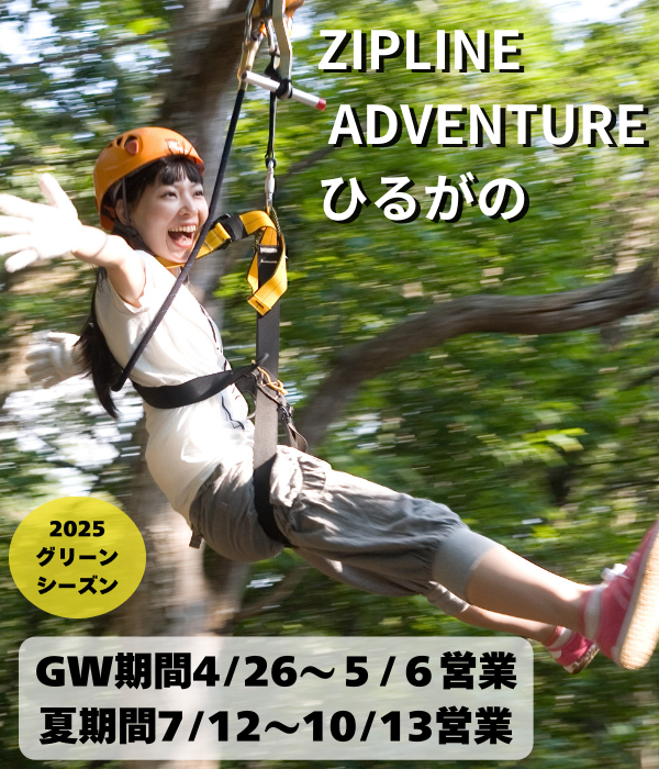 zipline